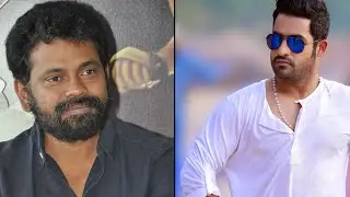 Visa Problem Disappoint Ntr And Sukumar Movie?