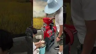 🔥The 2025 new rice milling machine, its rice milling effect is shocking everyone!#ricemill  #farmer