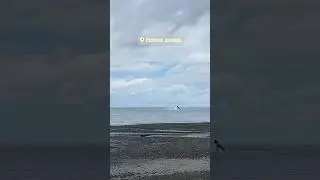 L&rsquo;observation des baleines en Colombie, est une exp&eacute;rience unique! #Colombie #Baleines #Pacifique