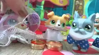 LPS: Zakręceni - Ślub Honoraty i Emila Littlest Pet Shop !!!