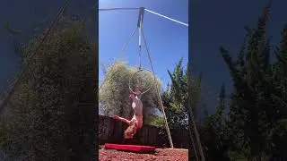 Aerial Rig: Wild Swinger!