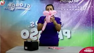 Globotips: aprende a hacer un mini b&uacute;ho con Sandra Smile