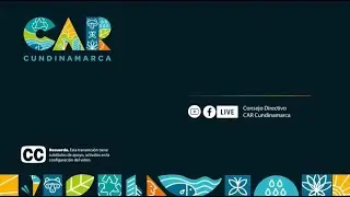 Videoconferencia Sesi&oacute;n Extraordinaria del Consejo Directivo CAR - 4 diciembre   2025
