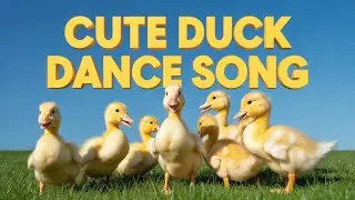 Quack Quack Duck English Song | Cute Kids Nursery Rhyme Toddlers Preschool Baby Love to Sing Fun