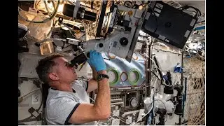 BioServe Space Technologies, USA