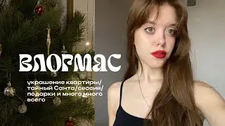Новогодний VLOG: сессия, украшение квартиры, тайный Санта и многое другое 💫🎄