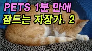 [애견 자장가] * 애견이 스스로 잠드는 자장가 0２0. (Gentle Guard)  #자장가 #doglullaby