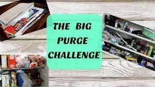 The BIG Purge Challenge || 2018 || Organize and Declutter with Me!