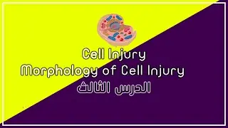 الدرس الثالث: Morphology of Cell Injury