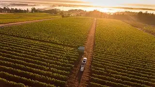 Brooks Winery Intro Video