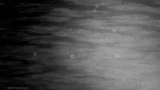 Night Vision test at Lost Lake with Moths