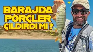 &Ccedil;amlıdere Barajı P&ouml;r&ccedil; Avı |Pans Marine P355|