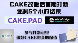 【Cake pad改版后第一期打新参与】还剩5小时，Cake的链上打新还可以参与，记得在交易所做好cake现货的空单套期保值，可以去尝试体验参与一下 #cake打新 #空投教程