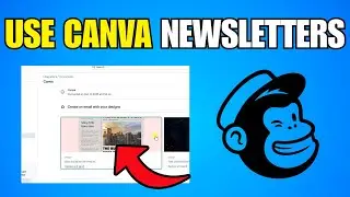 How To Use Canva Newsletters In Mailchimp (Step By Step Guide)