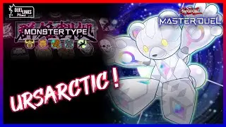 Ursarctic, Space Bears of the Island, Monster Type Festival! [Yu-Gi-Oh! Master Duel]