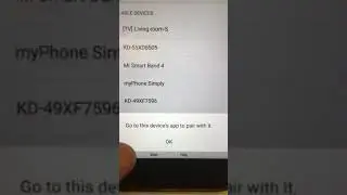 Mi Band 4 - impossible connect through bluetooth