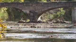 Abandoned Normanskill Bridge