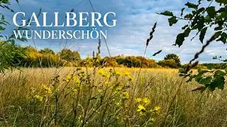 Naturschutzgebiet Gallberg