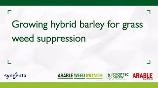 AWM22 Syngenta: Growing hybrid barley for grass weed suppression