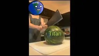 Solarballs funny vines 