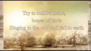 Bones of birds - Soundgarden (lyrics)