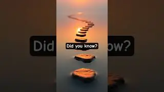 Ваша энергия начинается здесь 🧠
