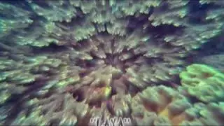 Stripe, Poroxx, Cosmonaut - Laya (Dj Renat Remix)