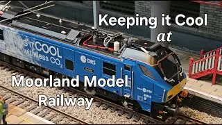 Keeping It Cool at Moorland