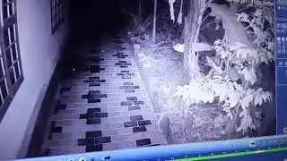 Kallan cctv ill