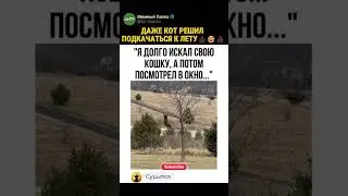 ЕСТЬ СВОЙ КОТОСТРЭСС? #прикол #юмор #смех #угар