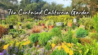 This February ( is it really winter? ) Garden Tour. 