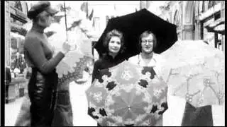 Tim Visterin - De vogel - 1970