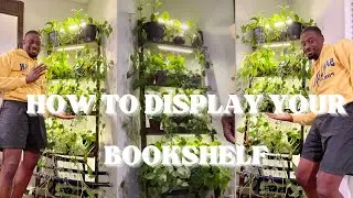 Upgrade your bedroom with a Plant Shelf 🪴 Pothos Snow Queen | N'joy Pothos