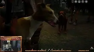 BLACK DESERT: kamphund rutzi und die kaia rennhund dame
