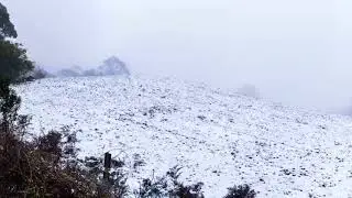 Snow in the Otways 2017