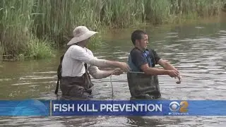 Preventing A Fish Die-Off