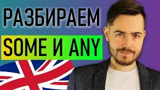 SOME, ANY: как использовать