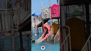 Best water slides with DAD | Dinoworld  park | #shorts #shortsfeed | swimming pool | Water park