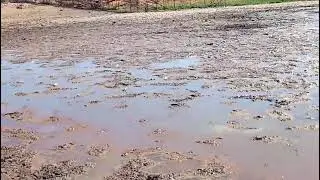 Mostrando o a&ccedil;ude do carua de Carnaiba PE