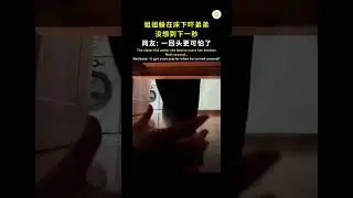 床下惊魂, 姐姐的恶作剧 😅 #shorts #viral #分享 #短视频 #鬼 #人生 #奇葩 #有趣 #搞笑 #滑稽 #刺激 #社会人 #社会百态