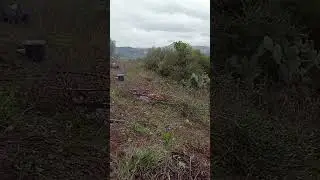 Passer la journ&eacute;e &agrave; l'oliveraie