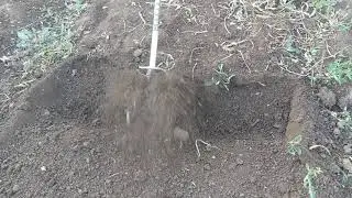 самодельный пропольщик к бензотриммеру.