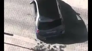 Maestro al Volante.