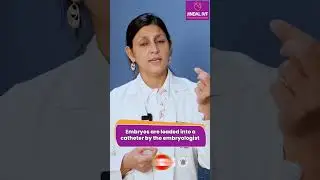 Does Embryo Transfer Hurts? Embryo transfer IVF procedure in hindi | Jindal IVF, Chandigarh