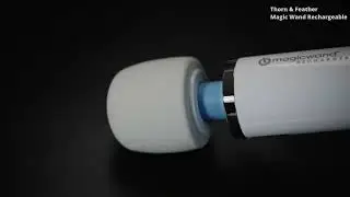 Hitachi Magic Wand