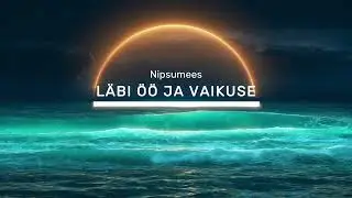Nipsumees - Läbi öö ja vaikuse (Melodic Techno)