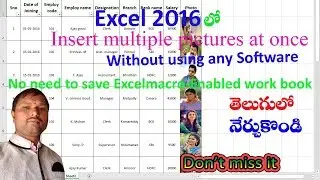 How to insert multiple pictures at once in excel cells | Insert picture in excel cells automatically