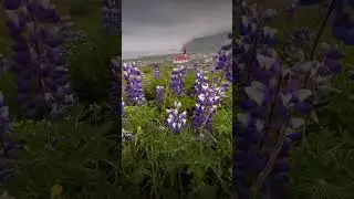 🌿🌧️😮&zwj;💨&hellip; - - - #viral #outplanet #stayandwander #iceland #cabin #icelandexplored #reels #voyage ...