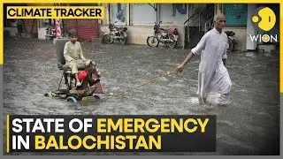 Lightning, rains kill at least 55 in Pakistan | WION Climate Tracker