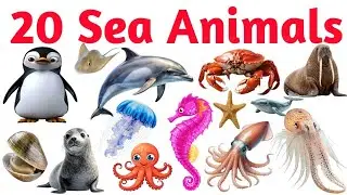 Learn 20 Sea Animals 🌊🐠 | Fun Ocean Animals Names for Kids, Toddlers & Preschool Learning